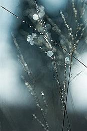 SIE有一支团队 专门寻找那些高质量的潜力股游戏